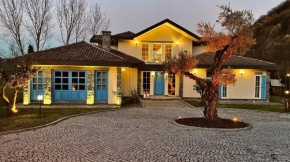 Sapanca Grand House